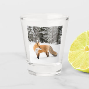 Red Fox in White Snow Shot Glass