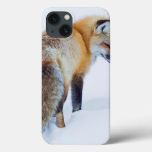 Red Fox in Winter iPhone 13 Case