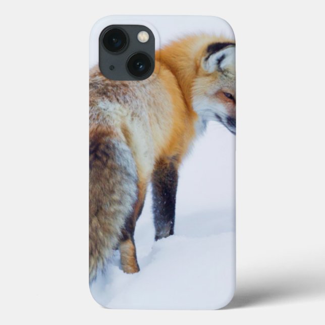 Red Fox in Winter Case-Mate iPhone Case (Back)