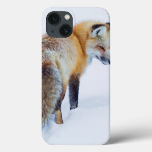 Red Fox in Winter iPhone 13 Case