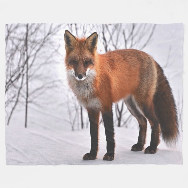 Red Fox In Winter Fleece Blanket (Front (Horizontal))