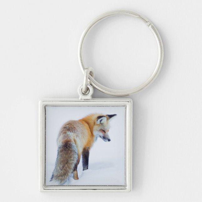 Red Fox in Winter Key Ring (Front)