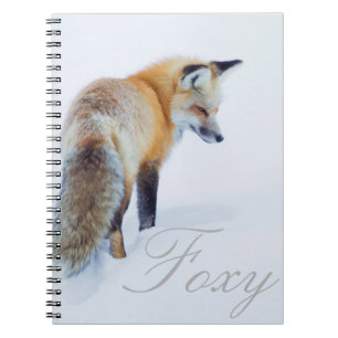 Red Fox in Winter Notebook