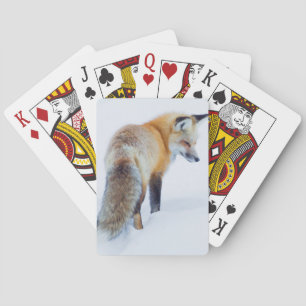 Red Fox in Winter Playing Cards