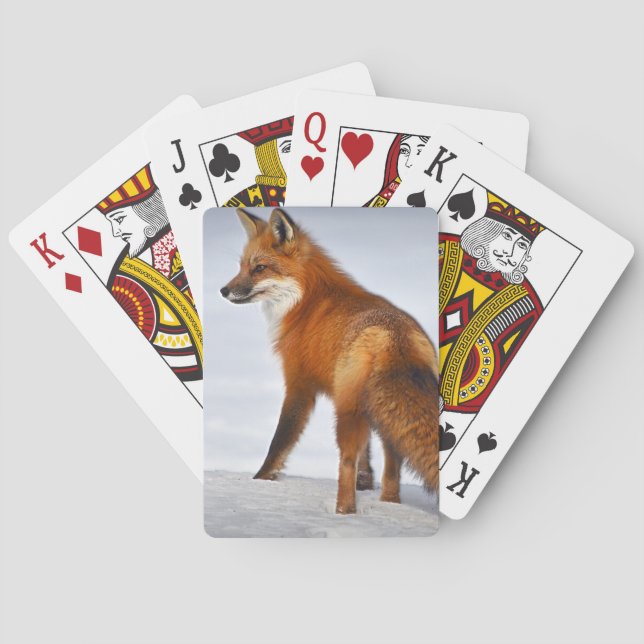 Red Fox in Winter Snow Playing Cards (Back)