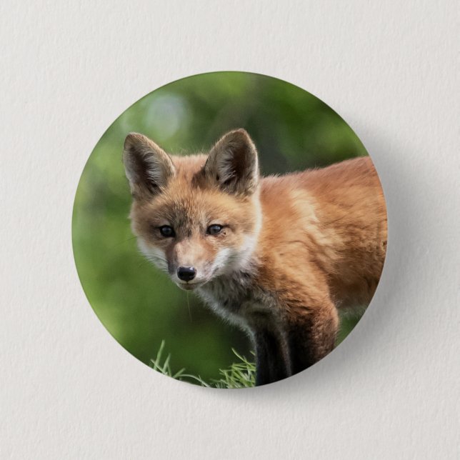 Red Fox Kit 6 Cm Round Badge (Front)