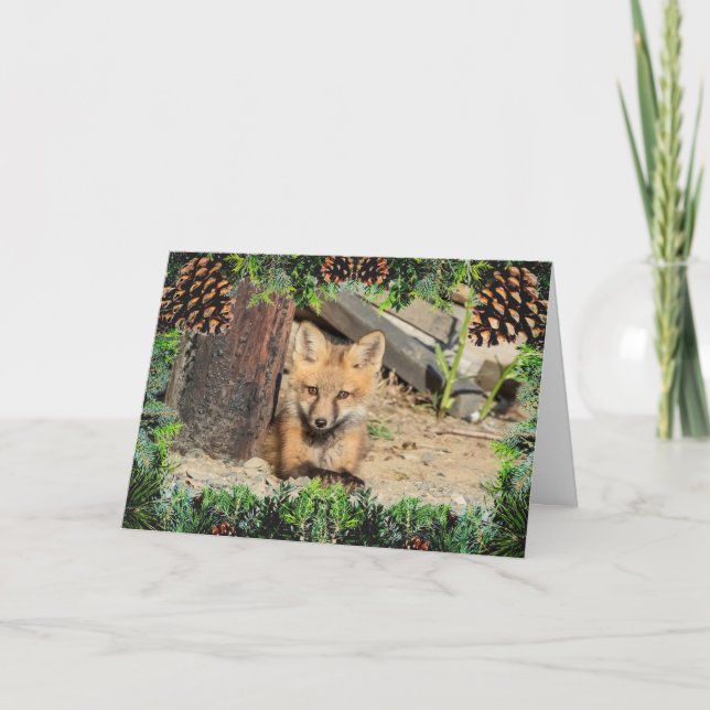 Red Fox Kit Christmas Card (Front)