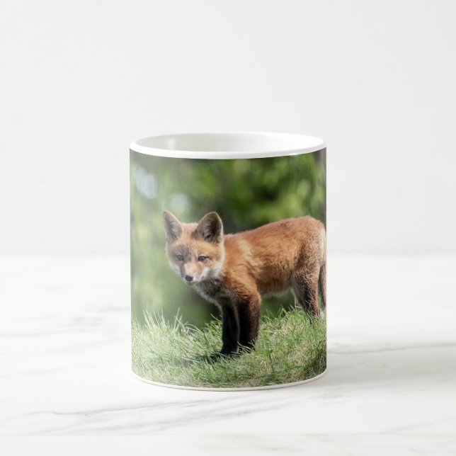 Red Fox Kit Coffee Mug (Center)