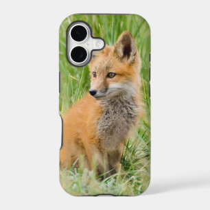 Red Fox Kit in grass near den
