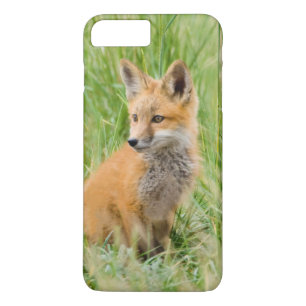 Red Fox Kit in grass near den iPhone 8 Plus/7 Plus Case