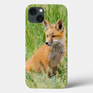 Red Fox Kit in grass near den iPhone 13 Case
