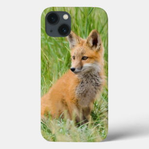 Red Fox Kit in grass near den iPhone 13 Case