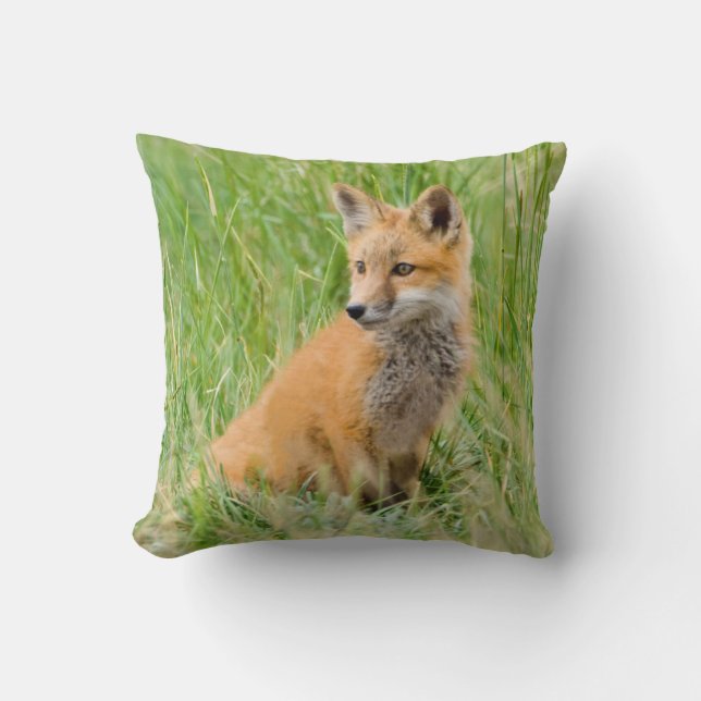 Red Fox Kit in grass near den Cushion (Front)