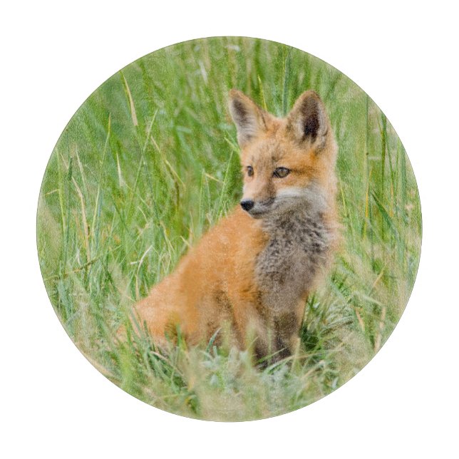 Red Fox Kit in grass near den Cutting Board (Front)