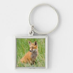 Red Fox Kit in grass near den Key Ring