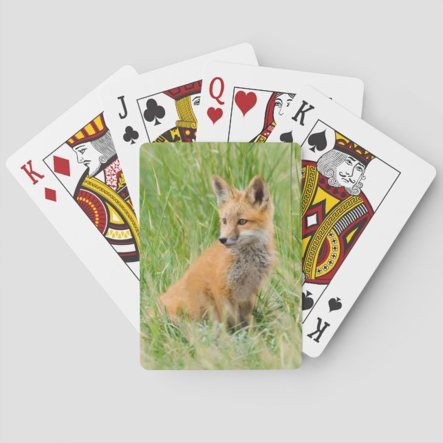 Red Fox Kit in grass near den Playing Cards (Back)