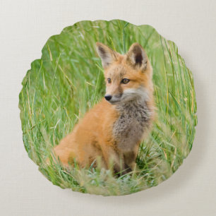 Red Fox Kit in grass near den Round Cushion