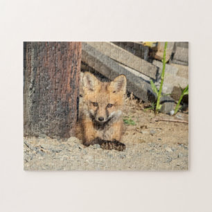 Red Fox Kit in the Adirondacks Jigsaw Puzzle