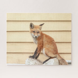 Red Fox Kit in The Hudson Valley Jigsaw Puzzle