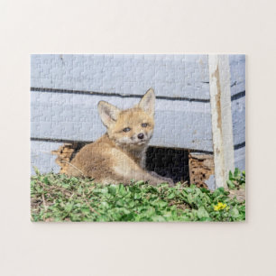 Red Fox Kit in The Hudson Valley Jigsaw Puzzle