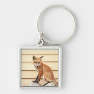 Red Fox Kit in The Hudson Valley Key Ring