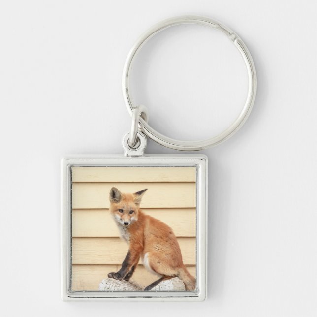 Red Fox Kit in The Hudson Valley Key Ring (Front)
