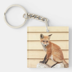 Red Fox Kit in The Hudson Valley Key Ring