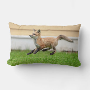 Red Fox Kit in The Hudson Valley Lumbar Cushion