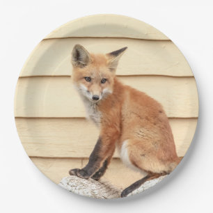 Red Fox Kit in The Hudson Valley Paper Plate