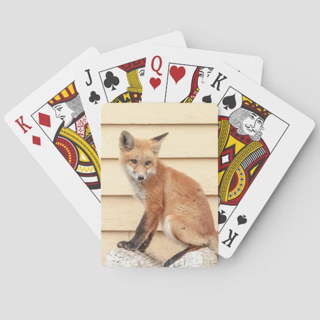 Red Fox Kit in The Hudson Valley Playing Cards (Back)