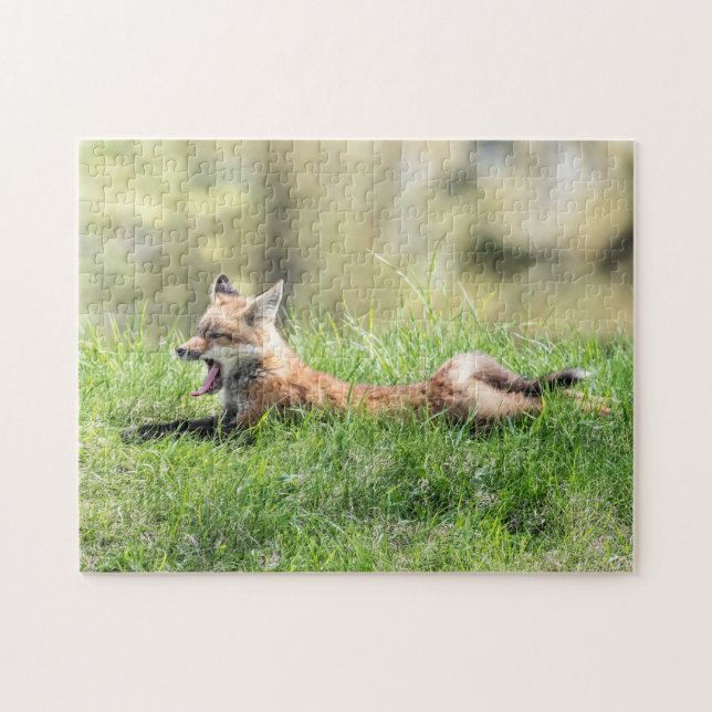 Red Fox Kit Jigsaw Puzzle (Horizontal)