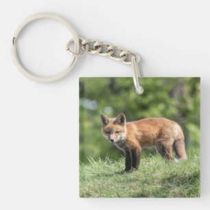 Red Fox Kit Key Ring