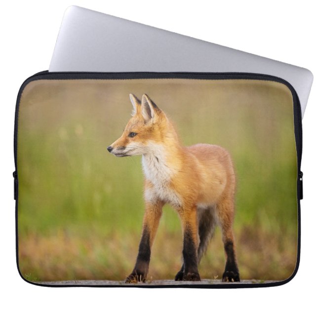 Red Fox Kit Laptop Sleeve (Front)