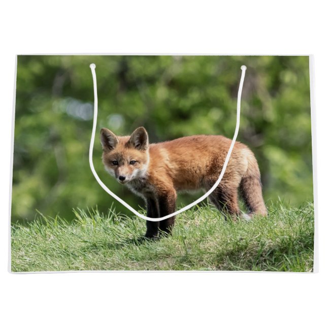 Red Fox Kit Large Gift Bag (Front)