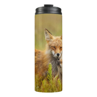 Red Fox Kit Looking Up to Momma   Thermal Tumbler