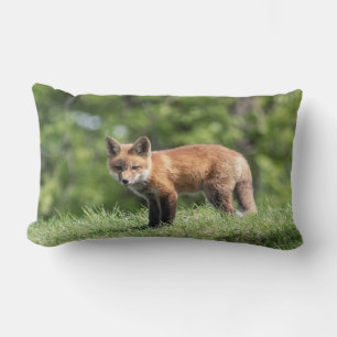 Red Fox Kit Lumbar Cushion