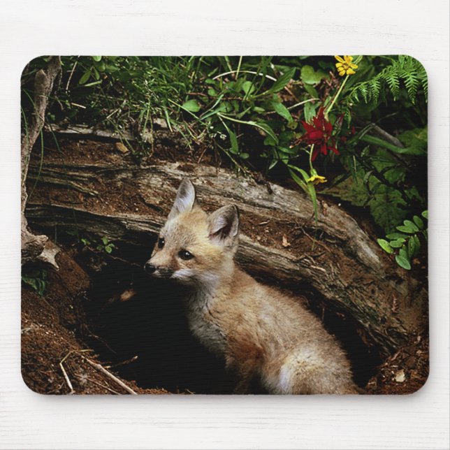 Red Fox Kit Mouse Pad (Front)