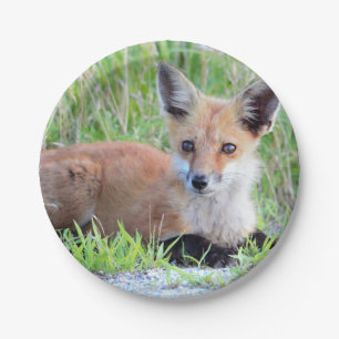 Red Fox Kit Paper Plate