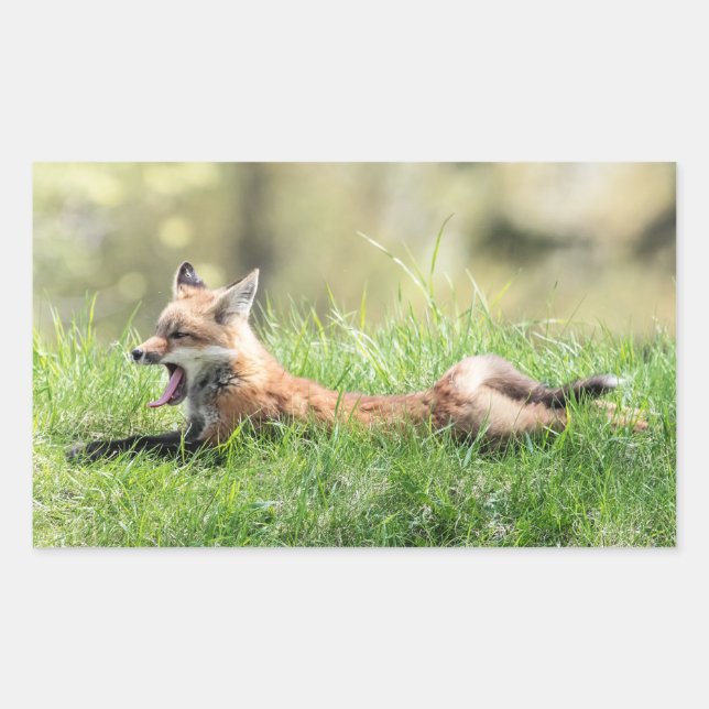 Red Fox Kit Rectangular Sticker (Front)