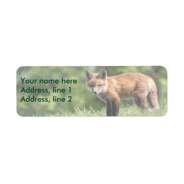 Red Fox Kit Return Address Label (Front)