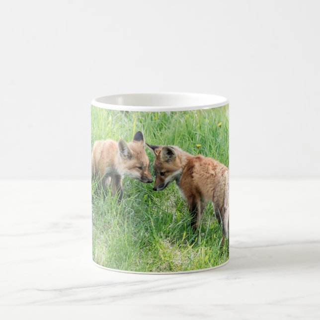 Red Fox Kits Coffee Mug (Center)