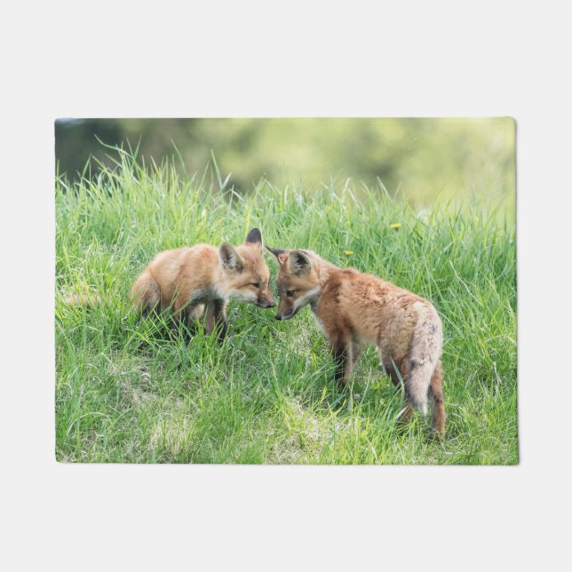 Red Fox Kits Doormat (Front)