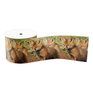 Red Fox Kits Grosgrain Ribbon