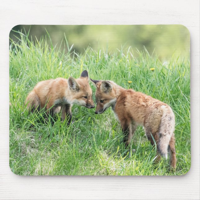 Red Fox Kits Mouse Pad (Front)