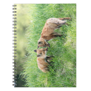 Red Fox Kits Notebook