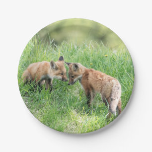 Red Fox Kits Paper Plate