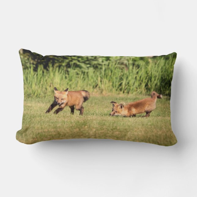 Red Fox Kits Playing Lumbar Cushion (Front)