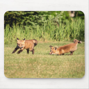 Red Fox Kits Playing Mouse Pad