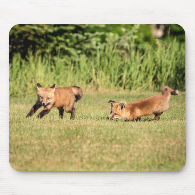 Red Fox Kits Playing Mouse Pad (Front)