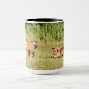 Red Fox Kits Playing Mug